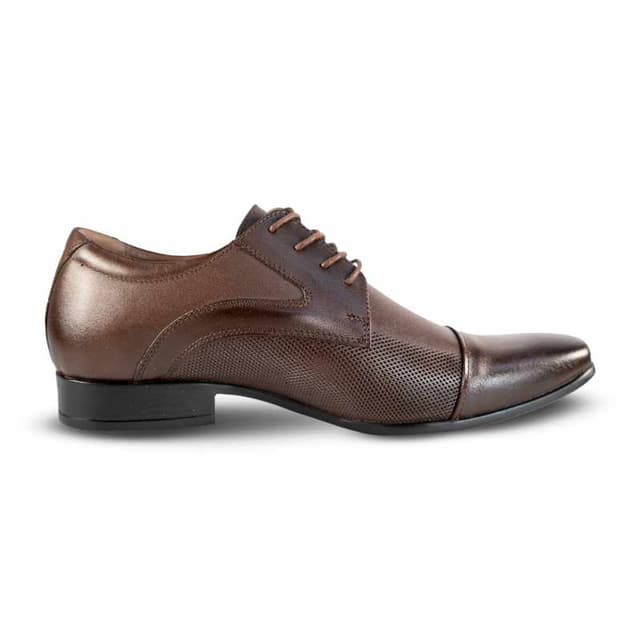 VS-20 Marron