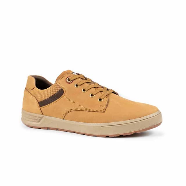 FD-574 Lucuma/Cocoa
